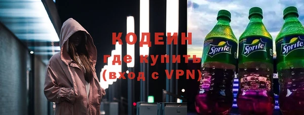 дживик Богородск