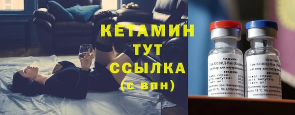 прущие грибы Богородицк