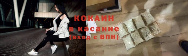 прущие грибы Богородицк