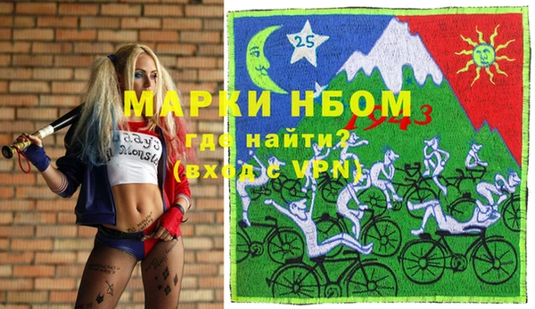дживик Богородск