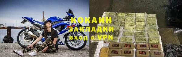 прущие грибы Богородицк