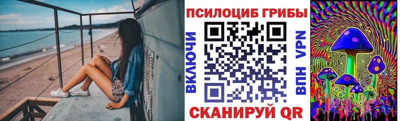 как найти закладки  Химки  Галлюциногенные грибы мицелий 